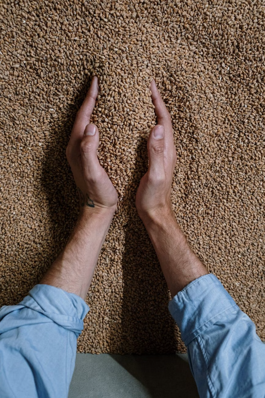 에이브릿지 농산물